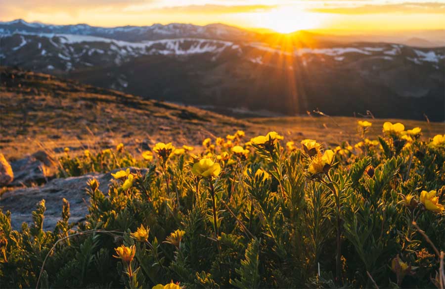 The Fascinating History of Berthoud, Colorado Lockaway Storage