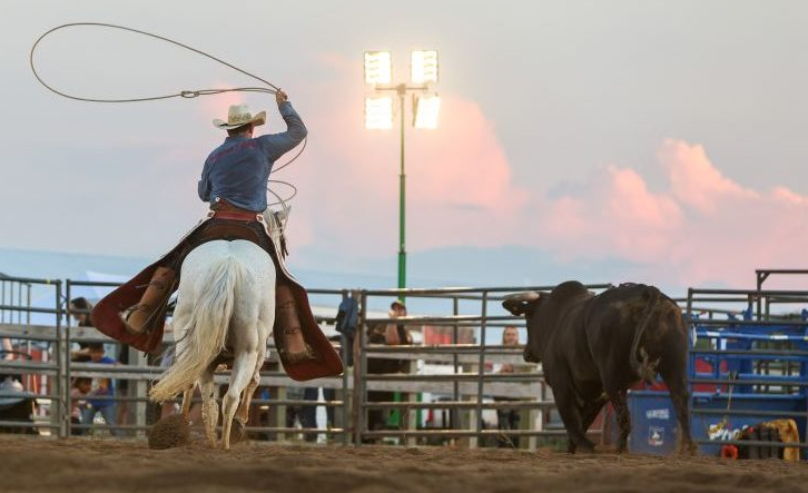 A Guide to the Montgomery County Fair & Rodeo