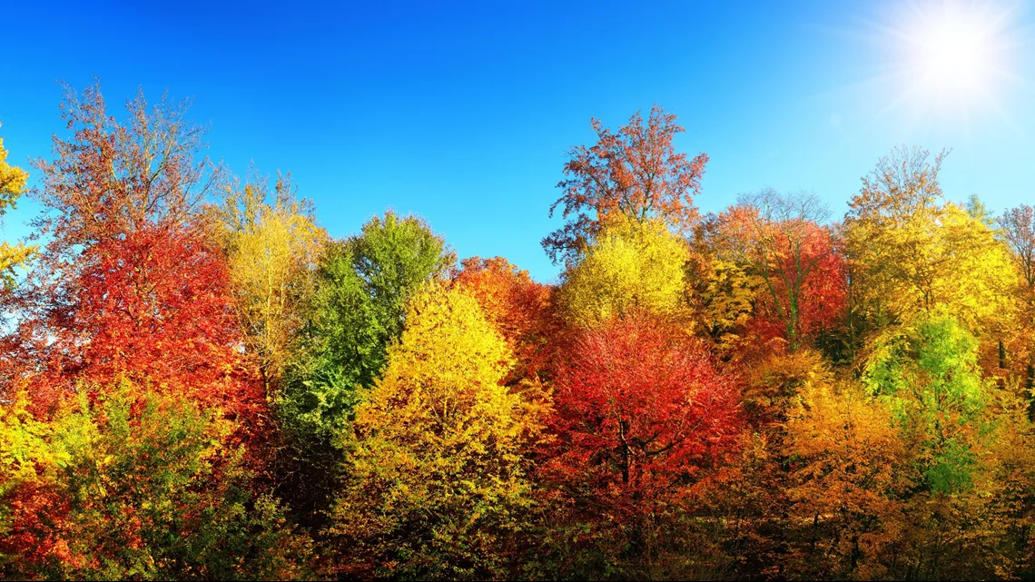 embrace-november-in-spokane-valley-wa-20260813-214520.webp