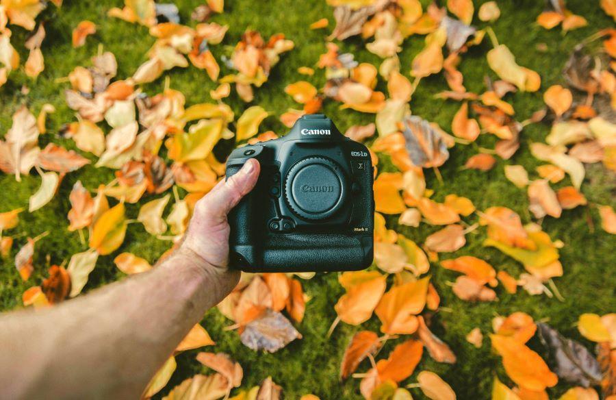 Best Spots for Fall Photography in Lakeside, CA