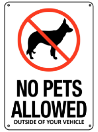 pets-20260917-192631.png