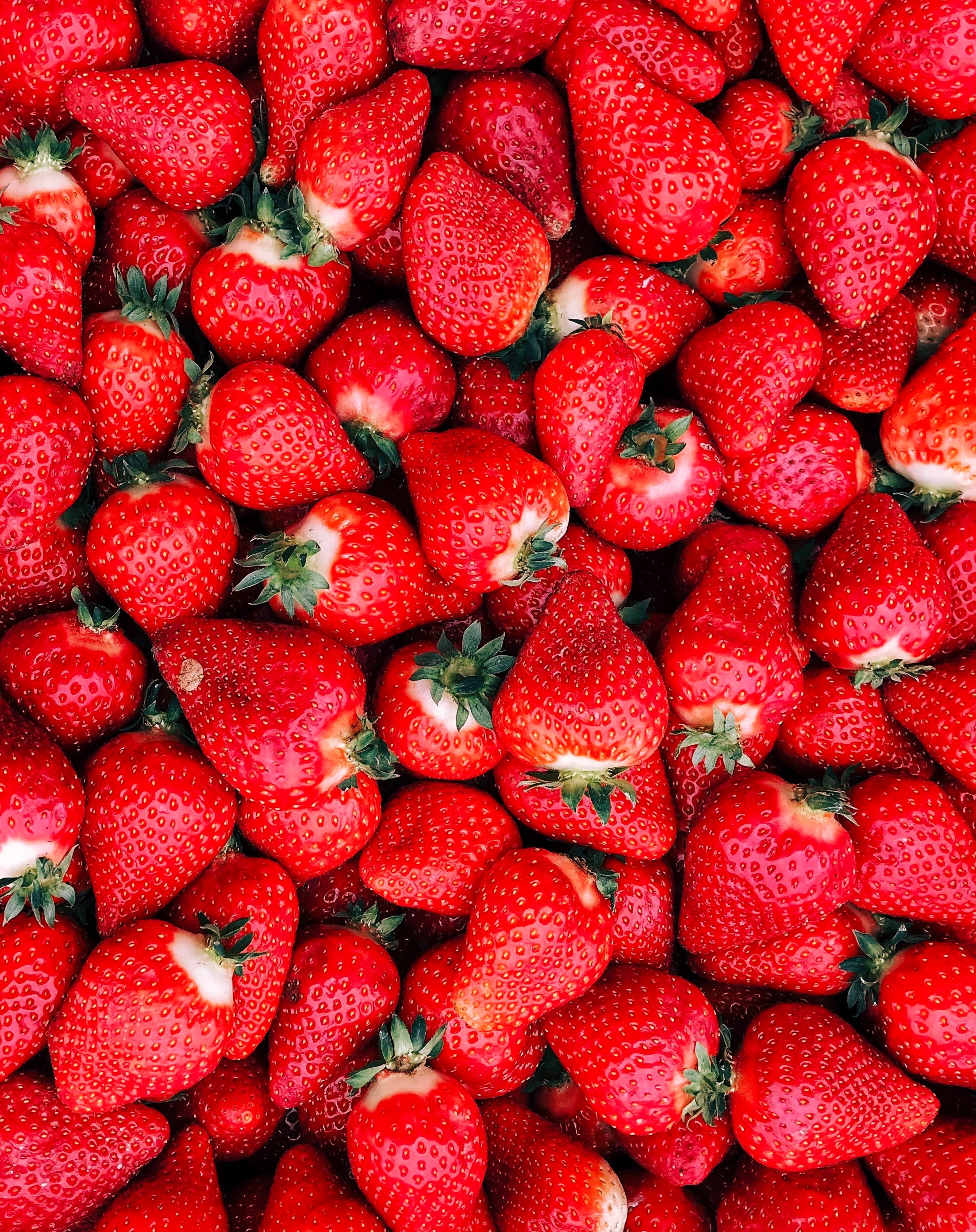 Usher in the Spring and Summer with the Santa Maria Valley Strawberry